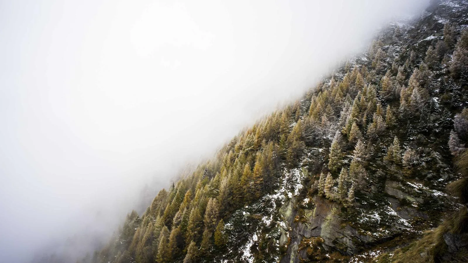 Coastal neighborhood and pier in Ocean Beach, San Diego.
