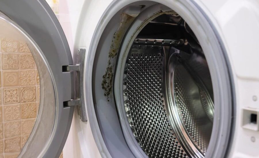 How to Prevent Washer Mold and Mildew Issues