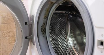 How to Prevent Washer Mold and Mildew Issues